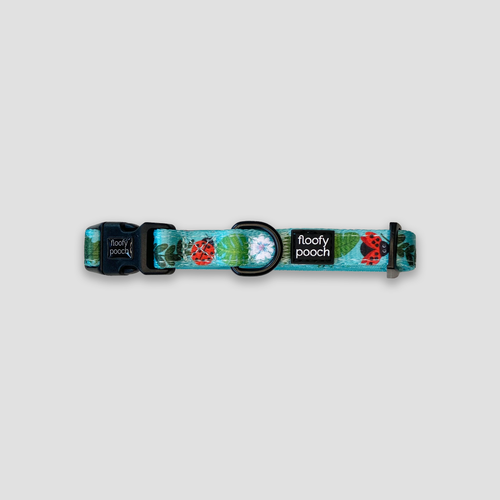 Dog Collar Canada