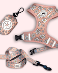 Cute Harness and Leash Canada Matching Set Pink Daisy Pattern Canada