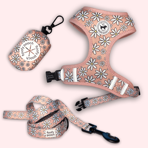 Cute Harness and Leash Canada Matching Set Pink Daisy Pattern Canada