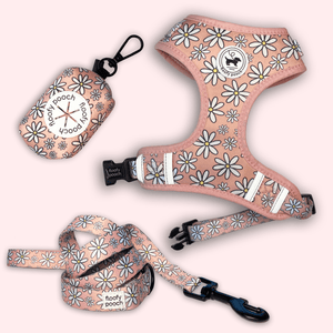 Cute Harness and Leash Canada Matching Set Pink Daisy Pattern Canada