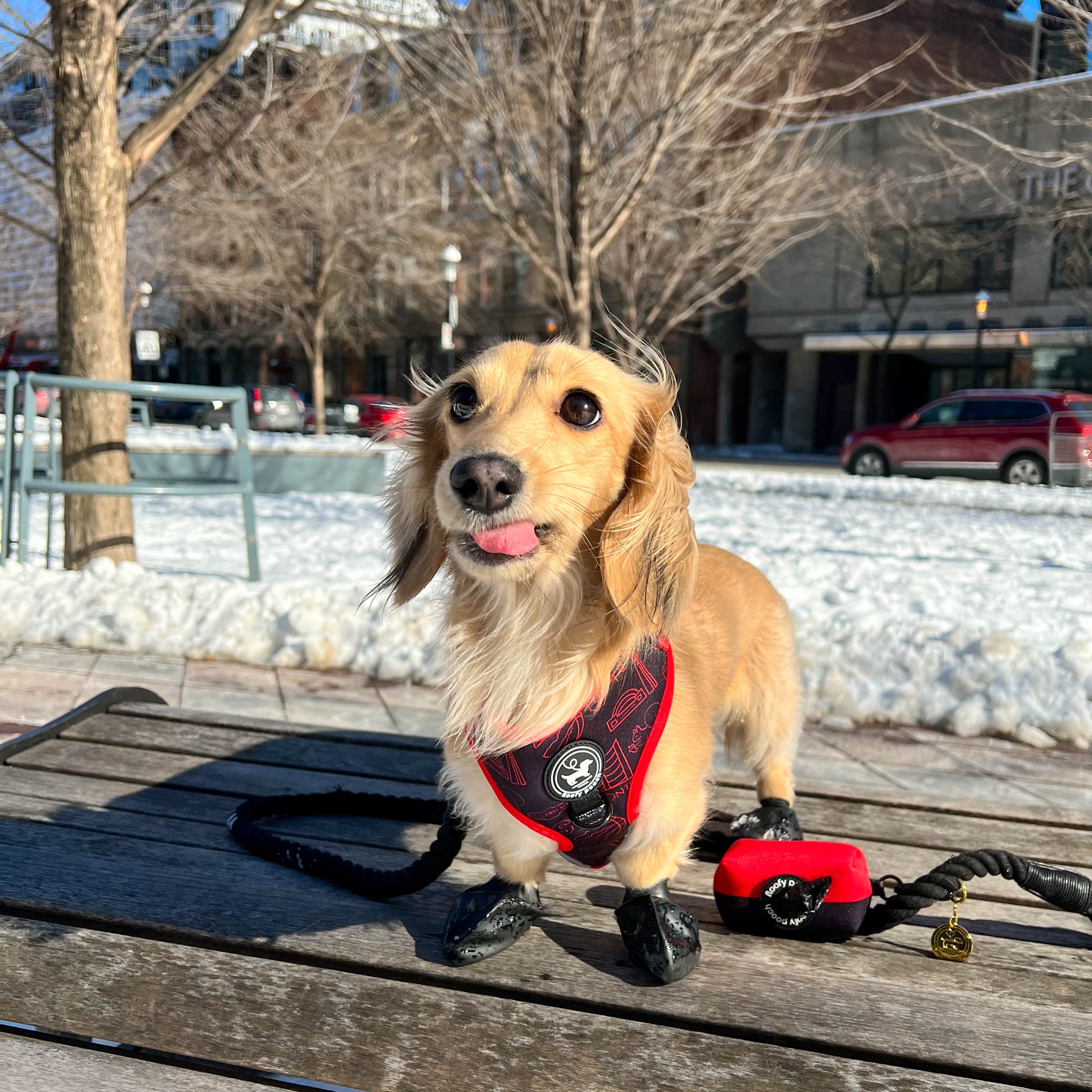 Poop Bag Holder - Sporty Pooch