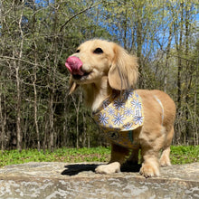 Load image into Gallery viewer, Dachshund Harness Canada Cute Bandana
