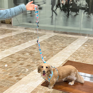 Hands-Free Leash - Berry Pooch