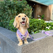 Load image into Gallery viewer, Harness - Dog Doodlez
