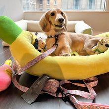 Load image into Gallery viewer, Leash - Pretty in Daisy
