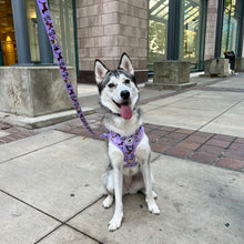 Load image into Gallery viewer, Harness - Dog Doodlez
