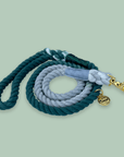 Rope Leash - Money