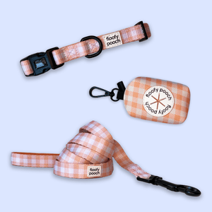 Collar Set - Peachy Pooch