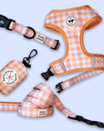 Dog Harness, Leash, Collar and Poop bag bundle - Designed in Toronto, Canada