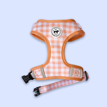 Load image into Gallery viewer, Cute Dog Harness Canada

