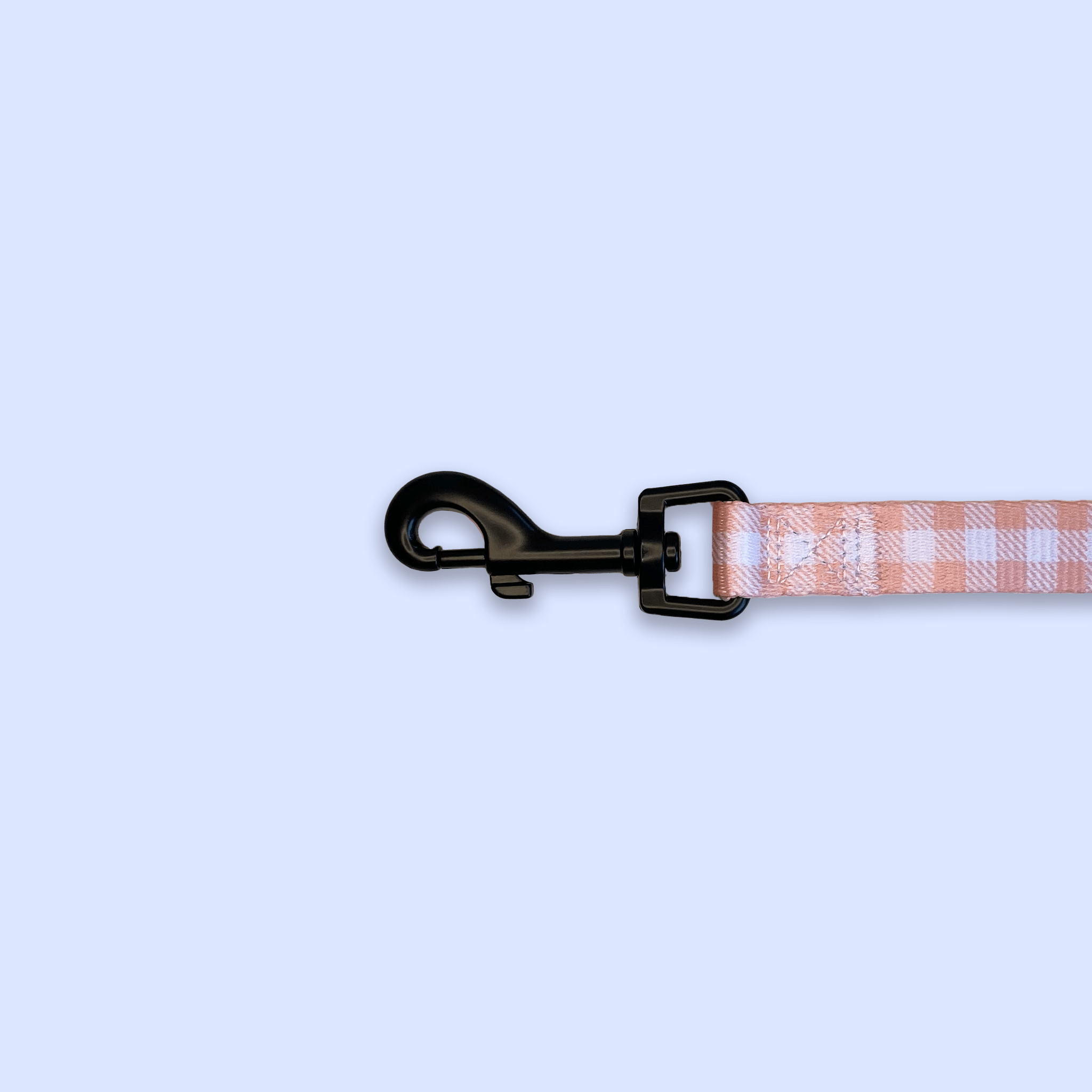 Cute Dog Leash (Peach)