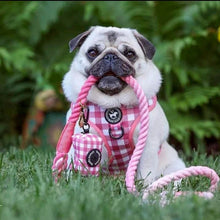 Load image into Gallery viewer, Poop Bag Holder - Berry Pooch
