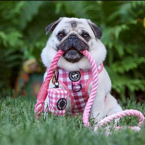 Poop Bag Holder - Berry Pooch