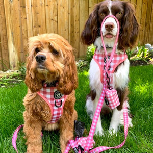 Poop Bag Holder - Berry Pooch