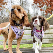 Load image into Gallery viewer, Harness - Dog Doodlez
