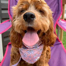 Load image into Gallery viewer, Bandana - Pretty in Daisy
