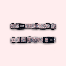 Load image into Gallery viewer, Martingale Collar - Pretty in Daisy
