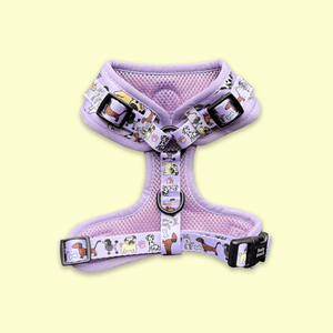 Harness - Dog Doodlez