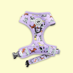 Harness - Dog Doodlez