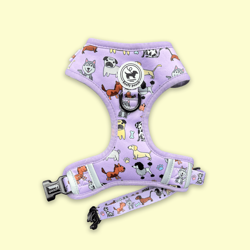 Harness - Dog Doodlez