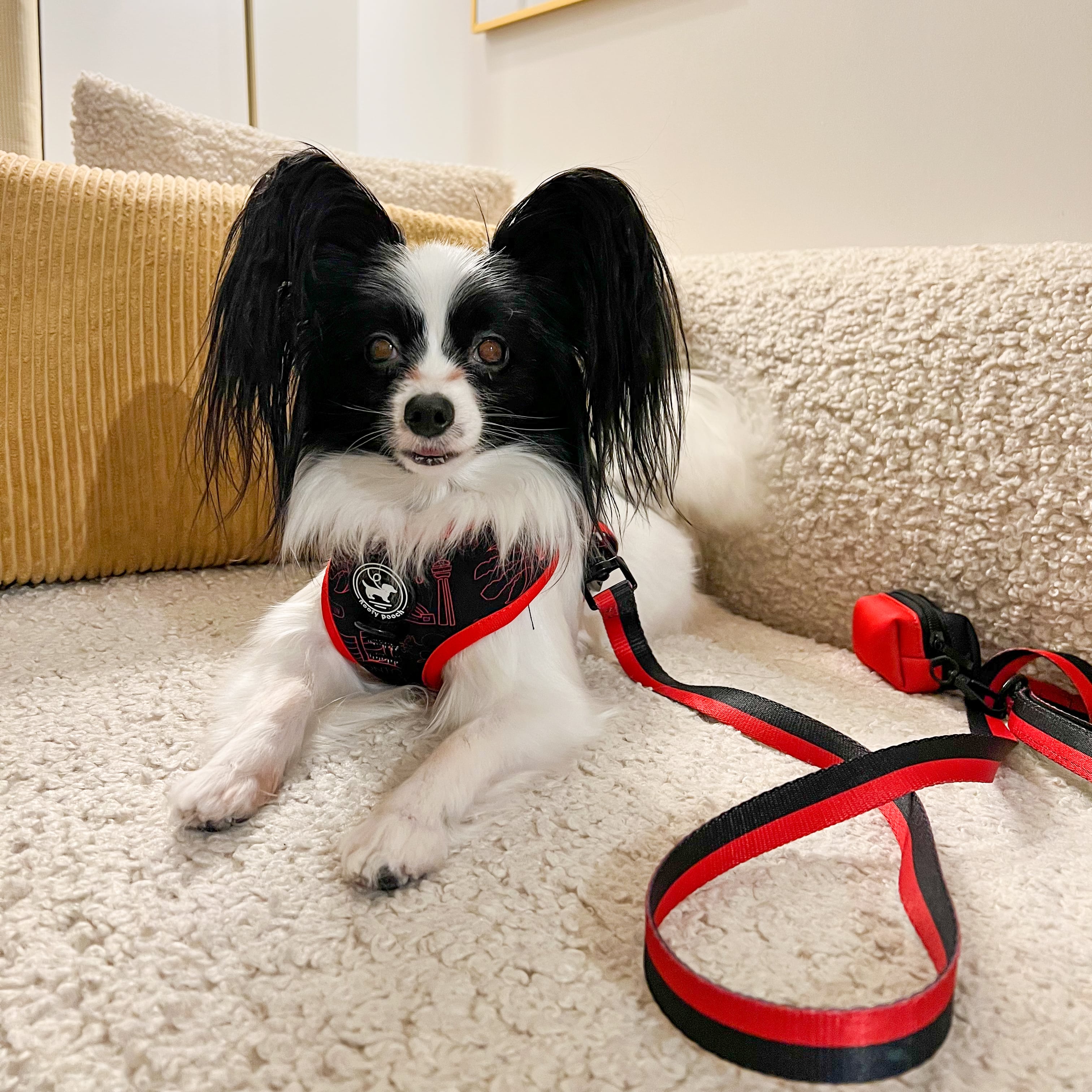 Poop Bag Holder - Sporty Pooch