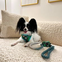 Load image into Gallery viewer, Rope Leash - Money
