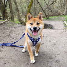 Load image into Gallery viewer, Cute Dog Harness Shiba Inu Adorable Puppy
