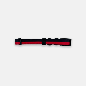 Collar - Sporty Pooch