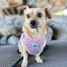 Load image into Gallery viewer, Harness Set - Pretty in Daisy
