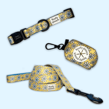 Load image into Gallery viewer, Collar Set - Daisy Sun
