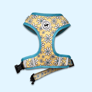 Dog Harness Canada Yellow Daisy Pattern