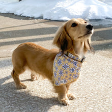 Load image into Gallery viewer, dog bandana collar yellow daisy floofy pooch
