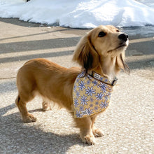 Load image into Gallery viewer, Cute dog collar canada yellow daisies dachshund floofy pooch
