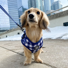 Load image into Gallery viewer, Dog Harness Canada Dachshund Matching Set Gingham Pattern

