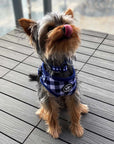 Blue Gingham matching dog set (dog harness & collar canada) floofy pooch