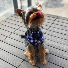 Load image into Gallery viewer, Dog Harness Canada cute collar blue gingham pattern

