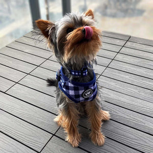 Dog Harness Canada cute collar blue gingham pattern