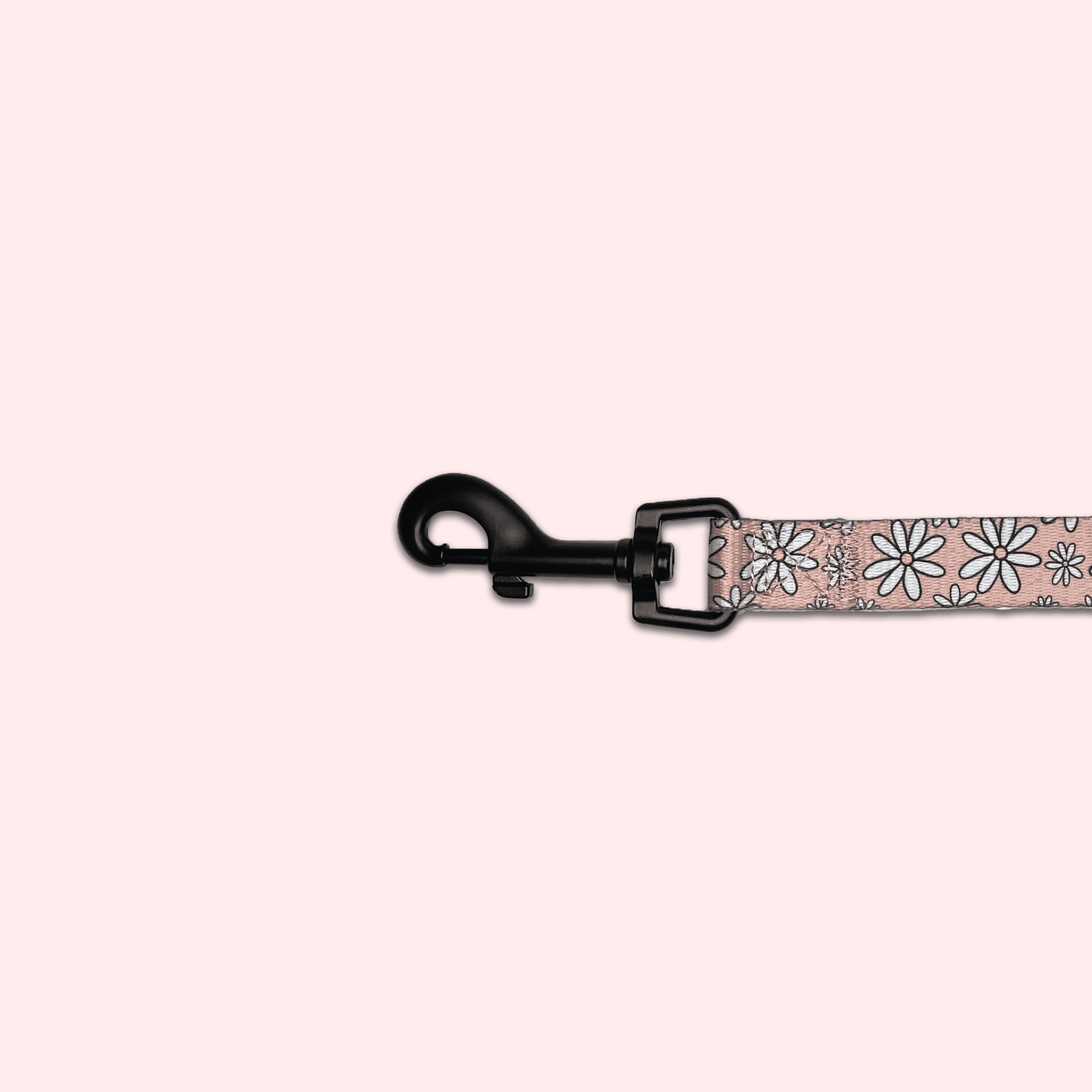 Dog Leash Canada cute pink daisy hook sturdy Floofy Pooch