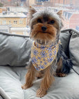 dog bandanas canada yellow daisies floofy pooch